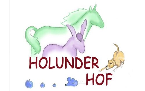 holunder-pony-hof
