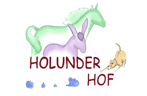 Holunder Pony Hof